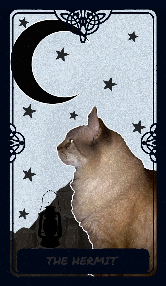AdventuresZel's tweet photo. So now there are no more tarot tickets! But you still can have your chance to collect a cat tarot card... I've swaped 4 cards of each tarot card, for 10 #xtz each ✨🐈‍⬛🔮

https://t.co/zr65VSeE7Z

#CleanNFT #cryptoart #hicetnunc https://t.co/biLCVsYxDR