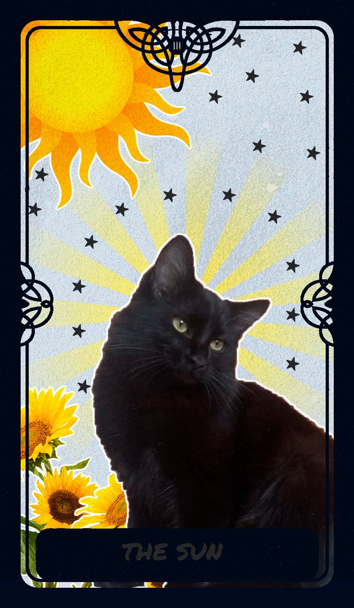 So now there are no more tarot tickets! But you still can have your chance to collect a cat tarot card... I've swaped 4 cards of each tarot card, for 10 #xtz each ✨🐈‍⬛🔮

hen.link/yas

#CleanNFT #cryptoart #hicetnunc