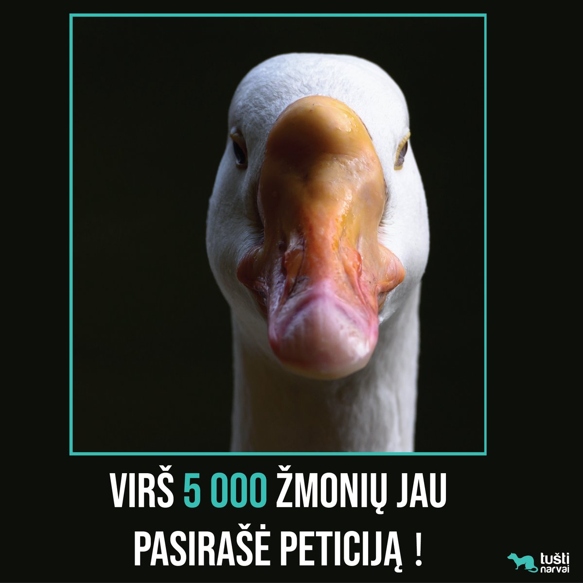 Foie gras kampaniją pradėjome gruodžio 8 dieną.
Surinkę 3 000 parašų su Jūsų pagalba įtikinome 3 verslus nustoti prekiauti foie gras.

🎉 Šiuo metu jau virš 5 000 žmonių paskatino verslus nustoti remti žiaurias foie gras fermas.

o ar TU prisijungsi prie šios kovos?