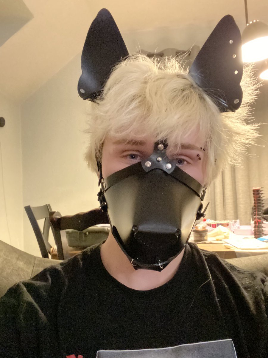 acefireheart's tweet image. Got myself this adorable puphood and I honestly just love it 💜