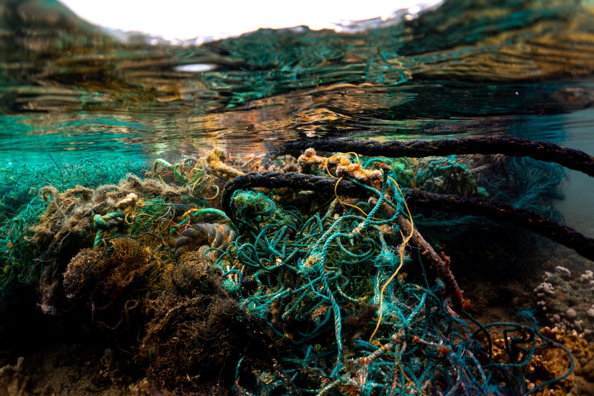 DebrisResearch's tweet photo. Our projects span all sizes of plastic pollution, from our literal tons of ghost nets all the way down to these teeny  tiny fibers
📸 @SandquistRachel https://t.co/0BrR4FmEAm