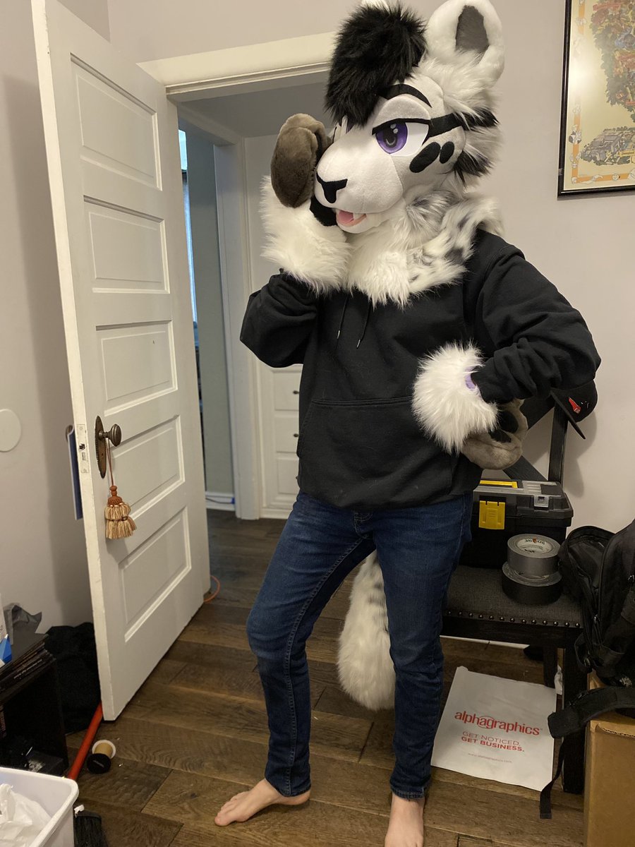 acefireheart's tweet image. When I first got Jasper he looks so cute 💜