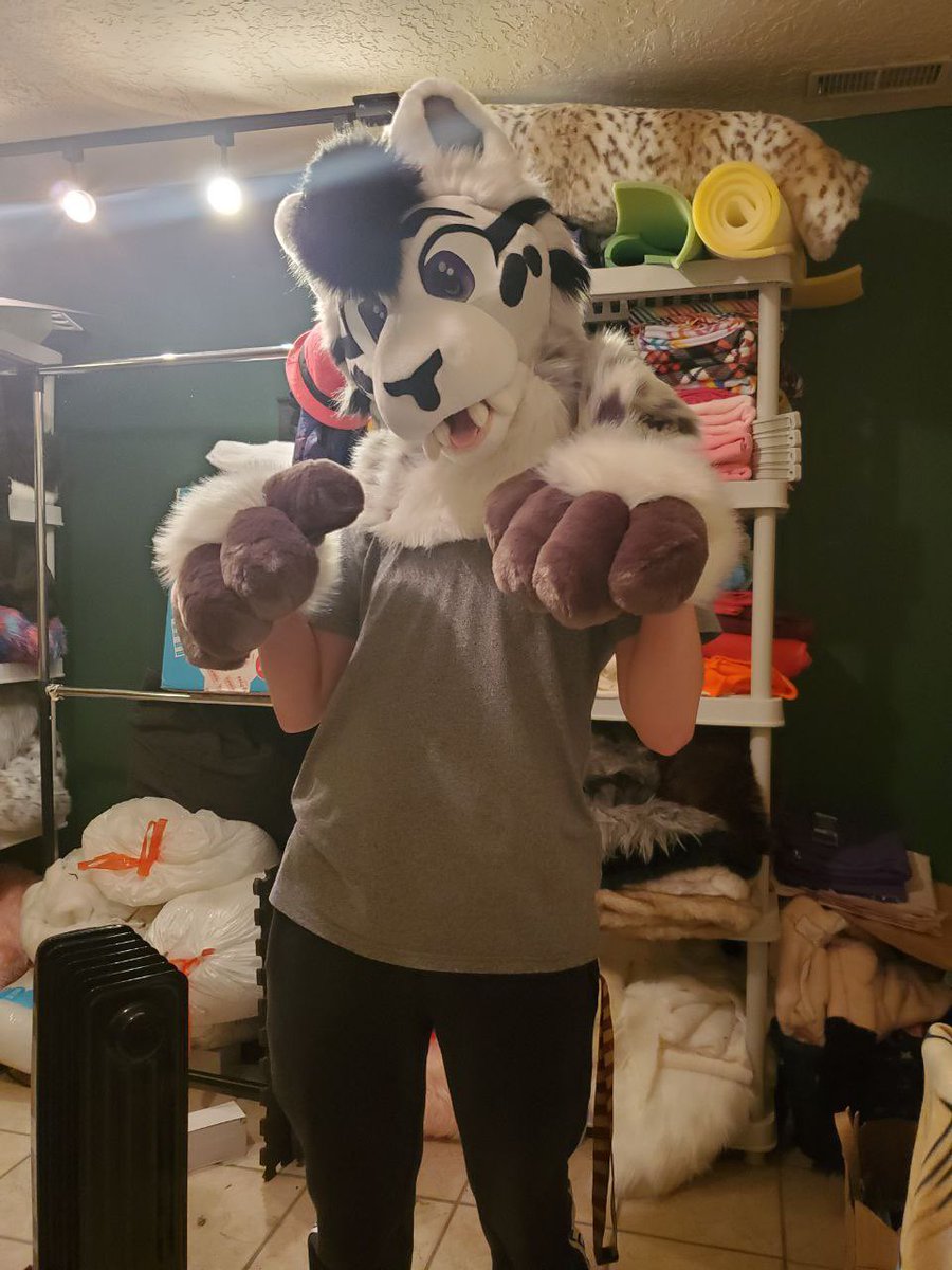 acefireheart's tweet image. When I first got Jasper he looks so cute 💜