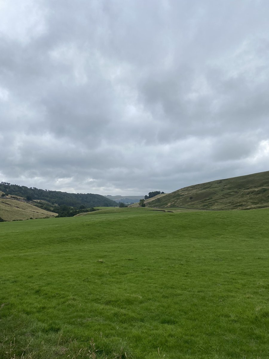 Corn Mill Tearoom, Bainbridge, Wensleydale tweet media