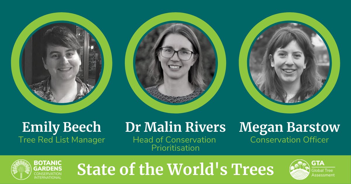 bgci's tweet image. Meet #TeamTree at BCGI (@GTA_GTSG), whose hard work and dedication brought you the #StateOfTrees report yesterday after 5 years of collaboration with over 500 contributors from over 60 institutions!
BGCI's directory of expertise: ow.ly/1Dlm50G3eGM