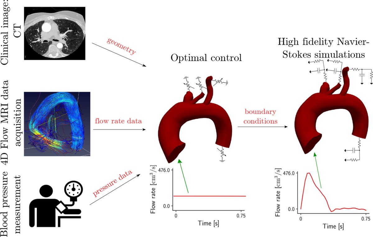 Off the press: "An optimal control approach to determine resistance-type boundary conditions from in-vivo data for cardiovascular simulations" with <a href="/elisafevola/">Elisa Fevola</a>, F. Ballarin, <a href="/LJimenezJuan/">Laura Jimenez Juan</a>, S. Fremes, S. Grivet Talocia, <a href="/gianluigi_rozza/">Gianluigi Rozza</a> <a href="/UofT/">University of Toronto</a> <a href="/PoliTOnews/">Politecnico di Torino</a>  <a href="/Sunnybrook/">Sunnybrook Health Sciences Centre</a> <a href="/Sissaschool/">SISSA</a>