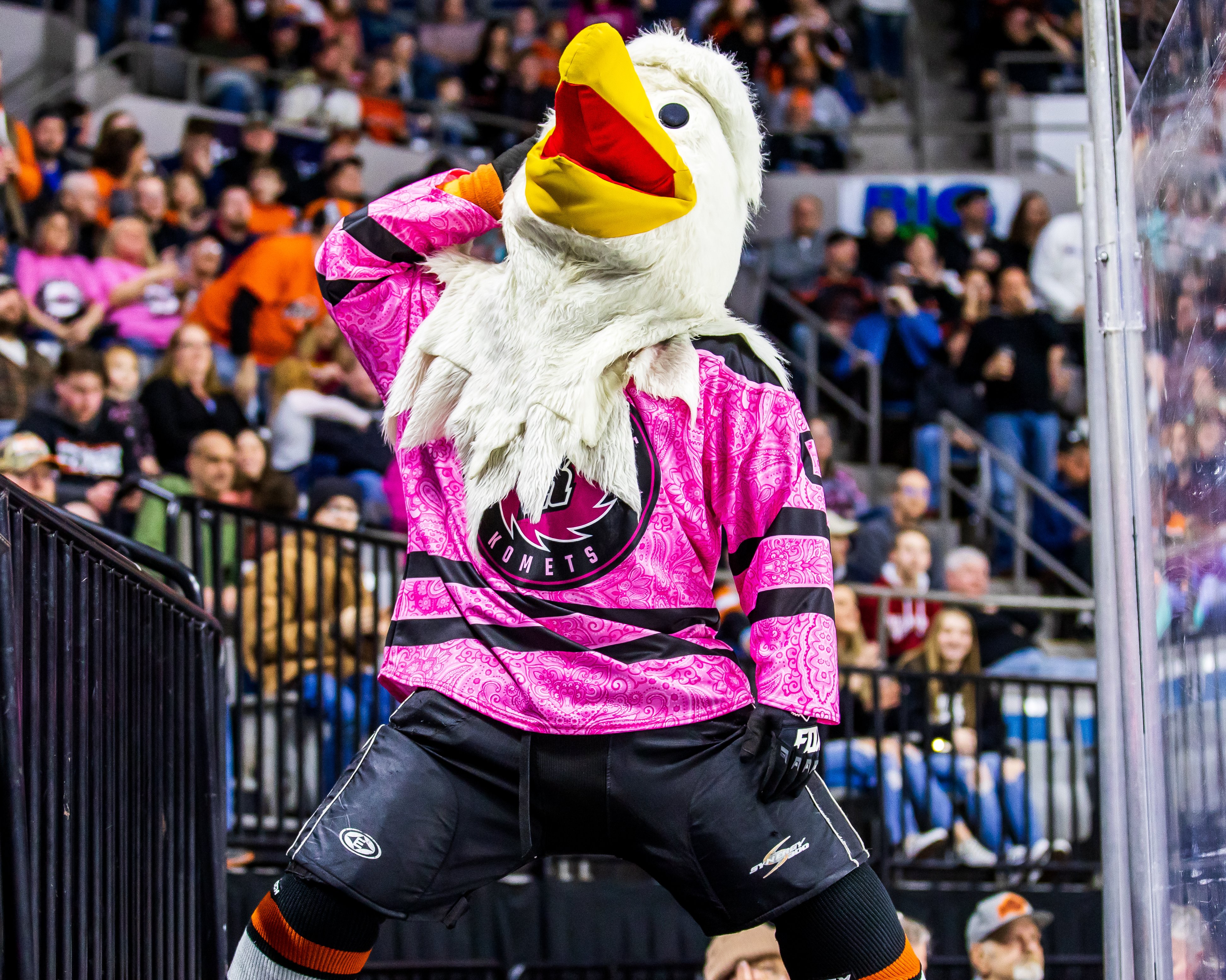 The ECHL is voting for the best mascot - Fort Wayne Komets