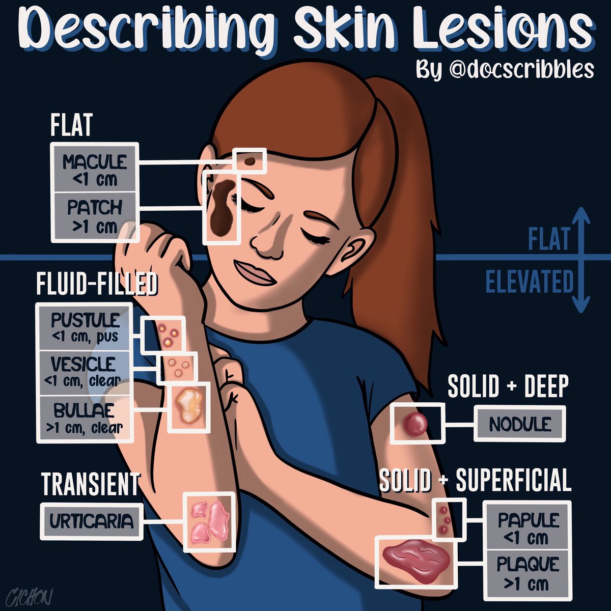 Don’t make any rash decisions when you’re describing skin lesions #MedEd #FOAMed #medpeds #dermatology #rashes