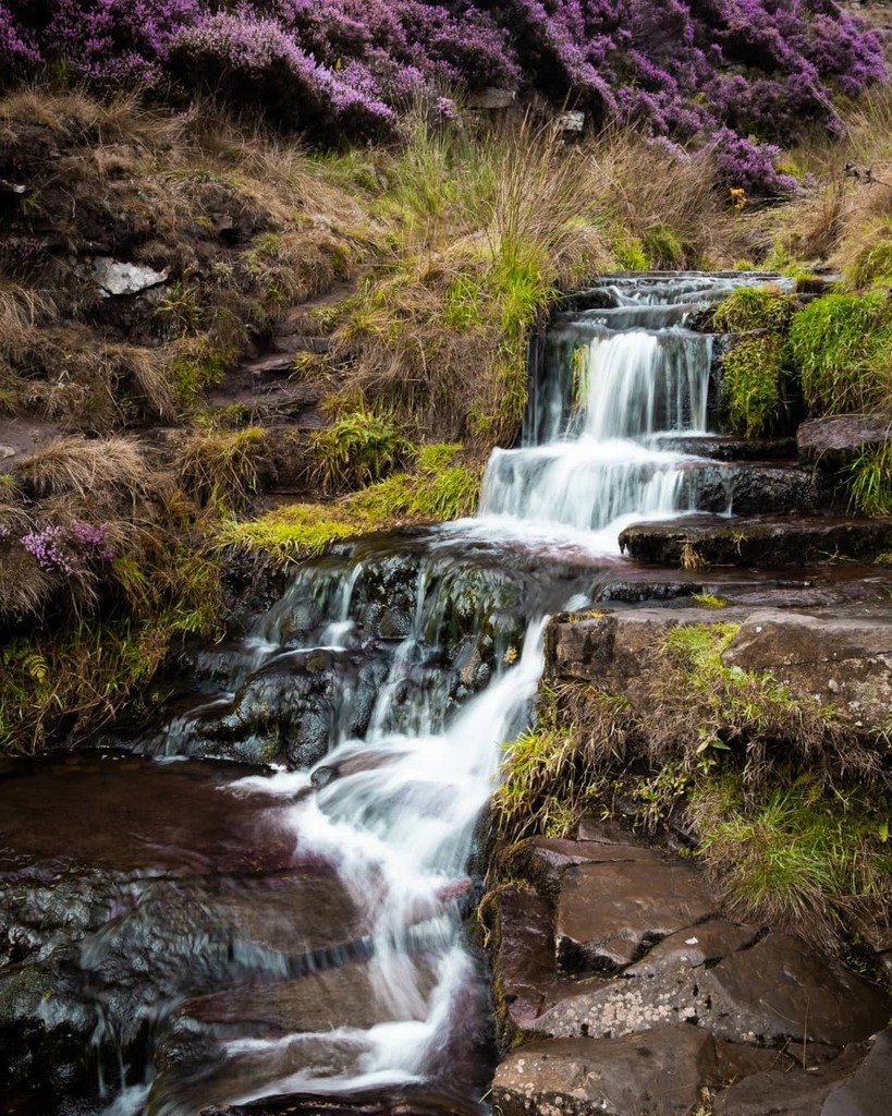 5050view tweet media