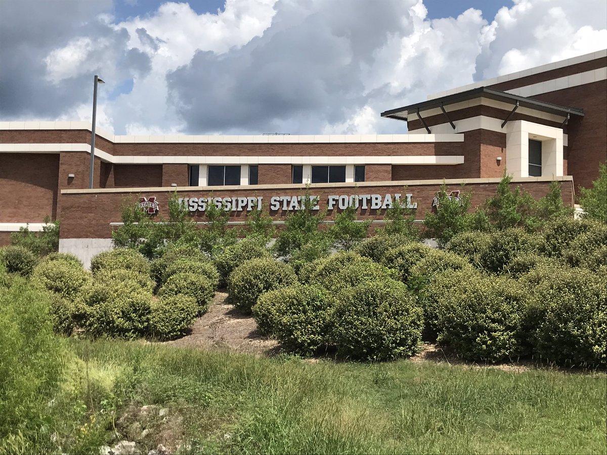 MSUCampusLandscape tweet media