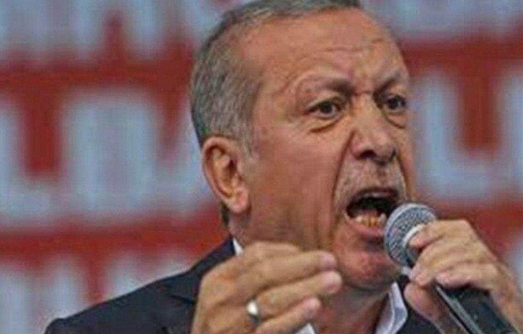Çağla Taş tweet media