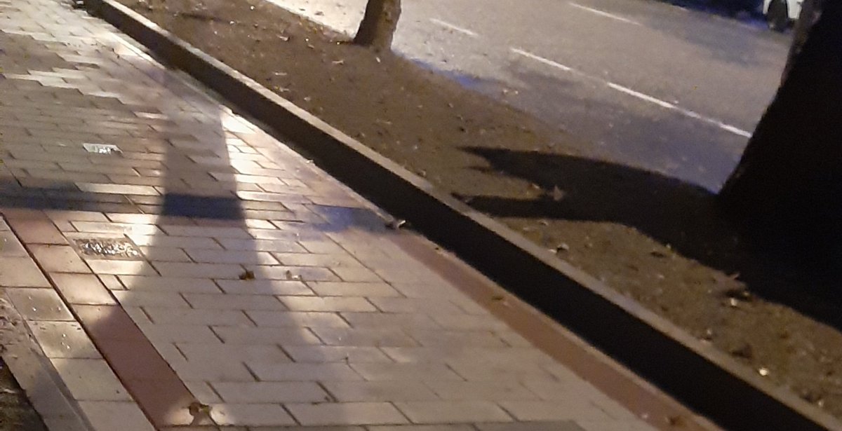 AVPuenteJardin's tweet photo. Empiezan la época de lluvia,los vecinos de #puentejardín sacaremos las botas para cruzar el barrizal que tenemos,y que no tenga que pasar una persona mayor o vecino con compra,carrito de bebé o maletas desde su coche o a cogerlo @AyuntamientoVLL podeis arreglarlo?os damos ideas https://t.co/k7rz5ES1XC