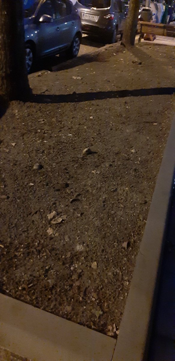 AVPuenteJardin's tweet photo. Empiezan la época de lluvia,los vecinos de #puentejardín sacaremos las botas para cruzar el barrizal que tenemos,y que no tenga que pasar una persona mayor o vecino con compra,carrito de bebé o maletas desde su coche o a cogerlo @AyuntamientoVLL podeis arreglarlo?os damos ideas https://t.co/k7rz5ES1XC