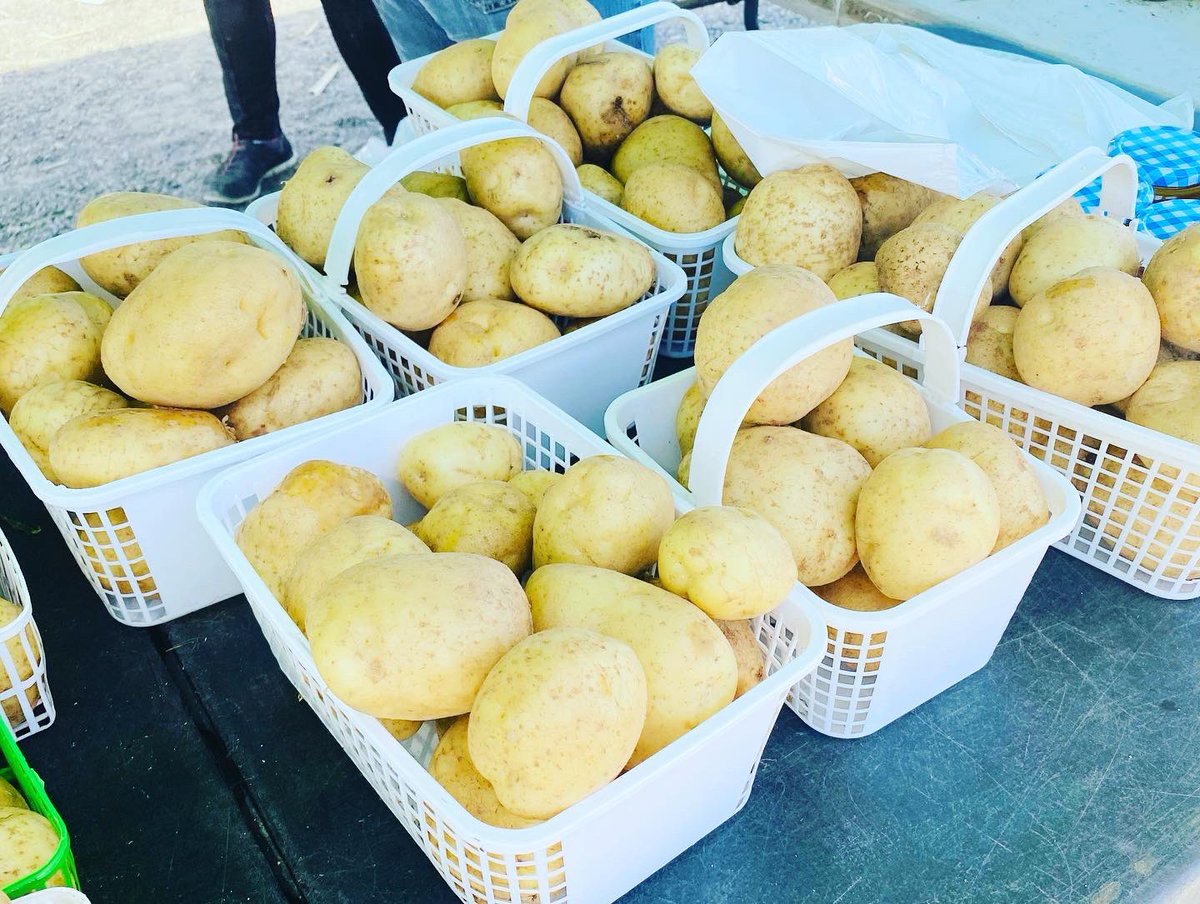 We have plenty of food options for you at the market today, including KETO meals! 

Visit us on the corner of York St &amp; Paris St from 2-6pm.