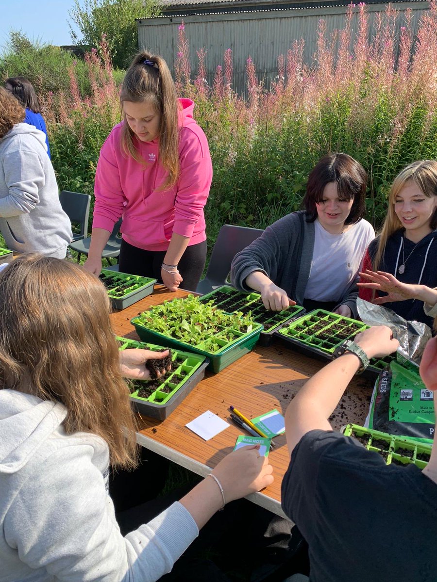 Our S3 Rural skills programme hard at work this afternoon working with our community partners 👍#ThisIsBrechin #Ambition