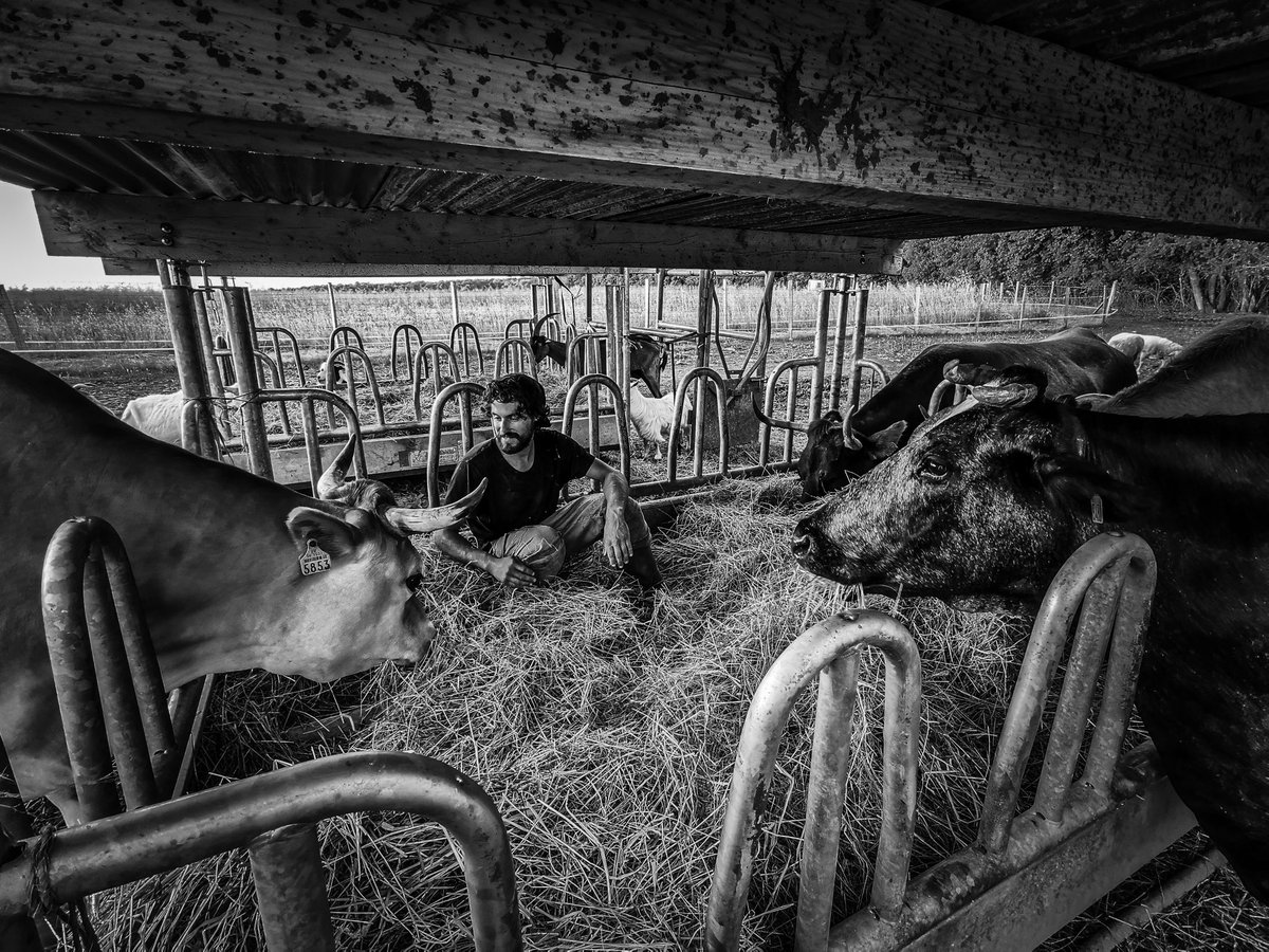 269 Libération Animale tweet media