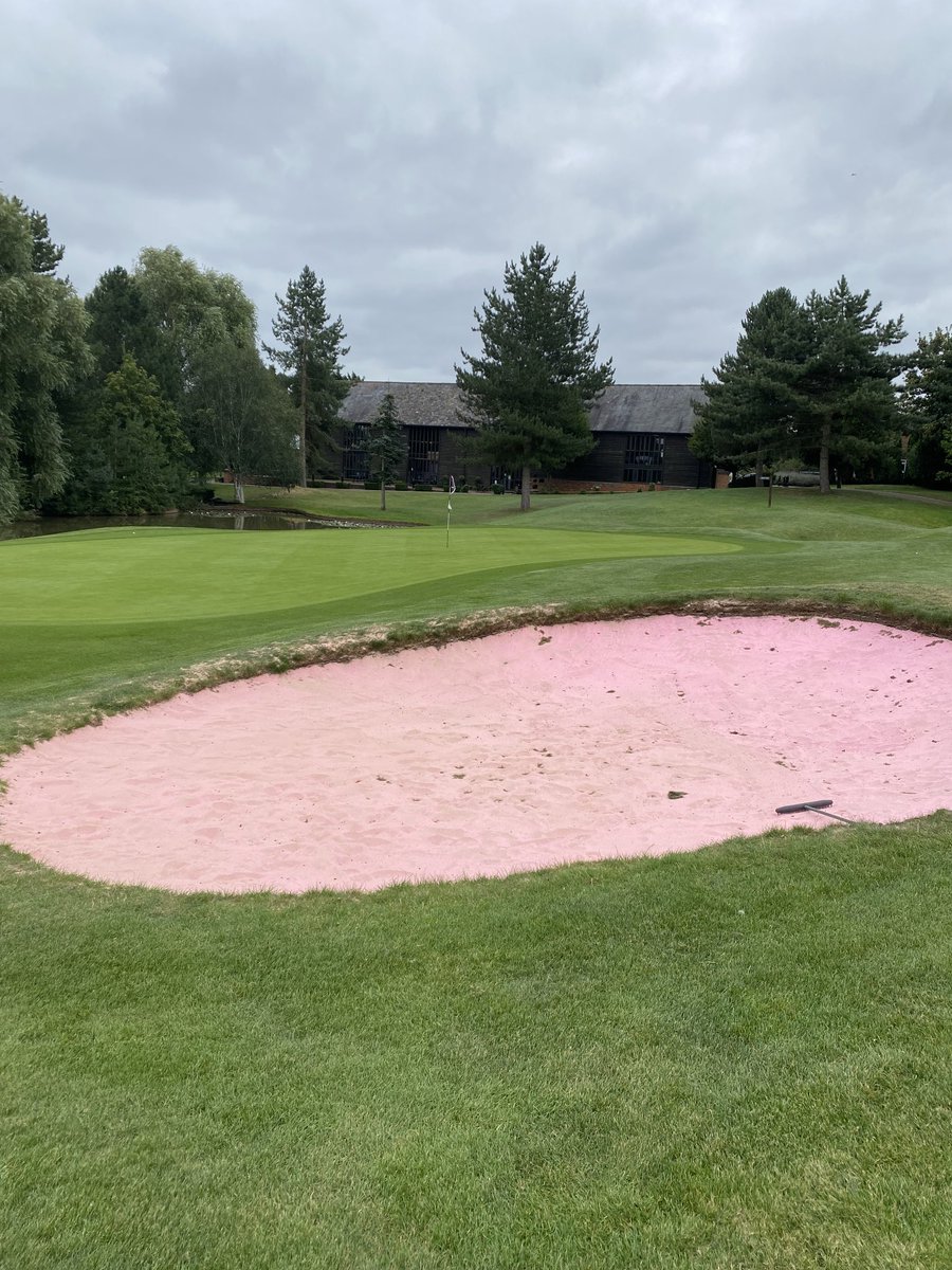 slgccaptains's tweet photo. What a lovely touch @EssendonCCGolf for women’s breast cancer Charity👍👍#pinkbunker https://t.co/zxTtg5hhW7