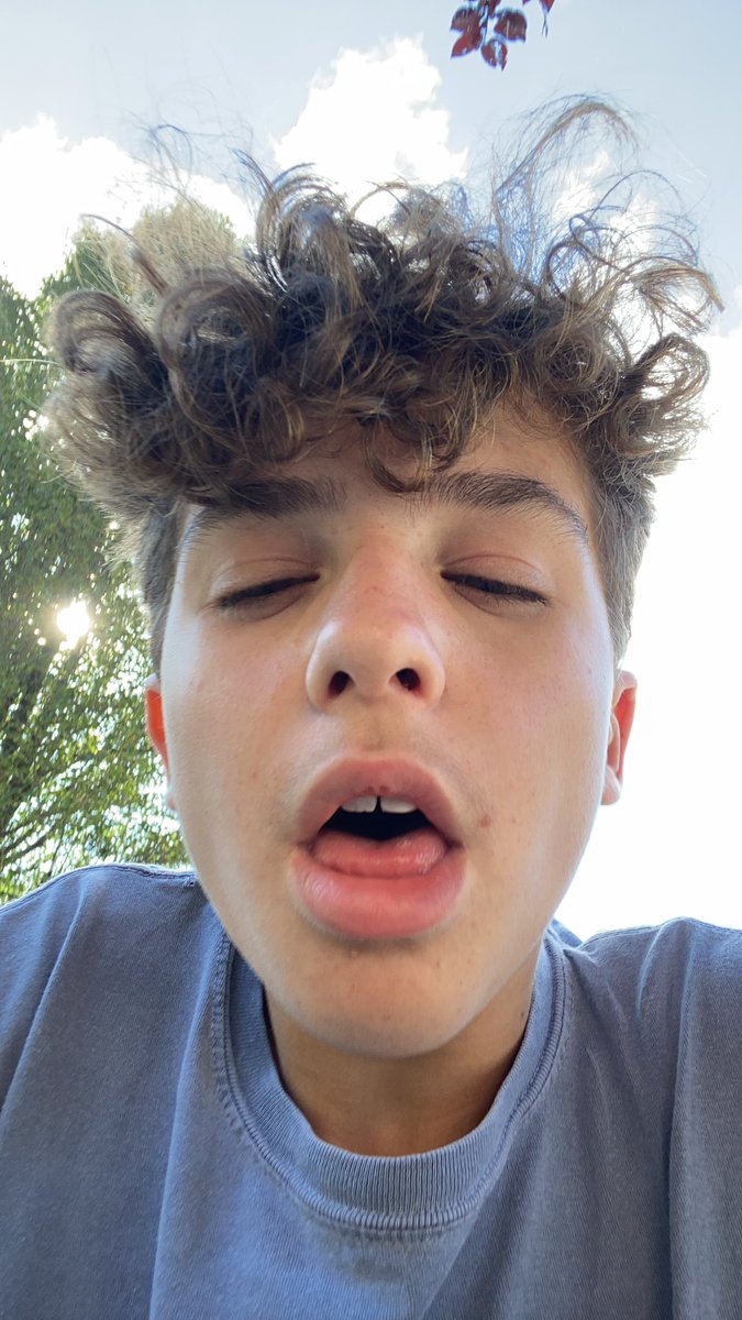 Evan tweet media