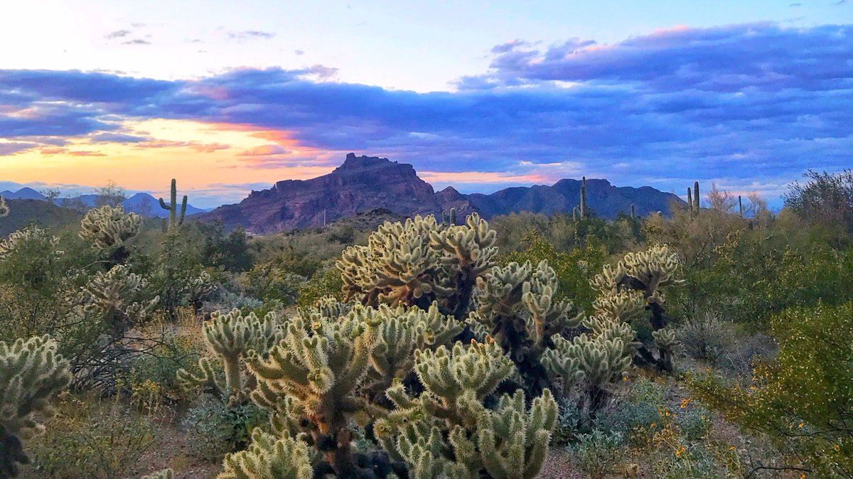 Erem_Footwear's tweet photo. It's #NationalWildernessMonth and we're all for it. Let us know which wild desert area makes your heart race then get on out there to soak up the magic of these untamed pockets of mother nature. #eremlife #exploreitall #wildernessculture #wildernessact https://t.co/y7wYNZuOz3