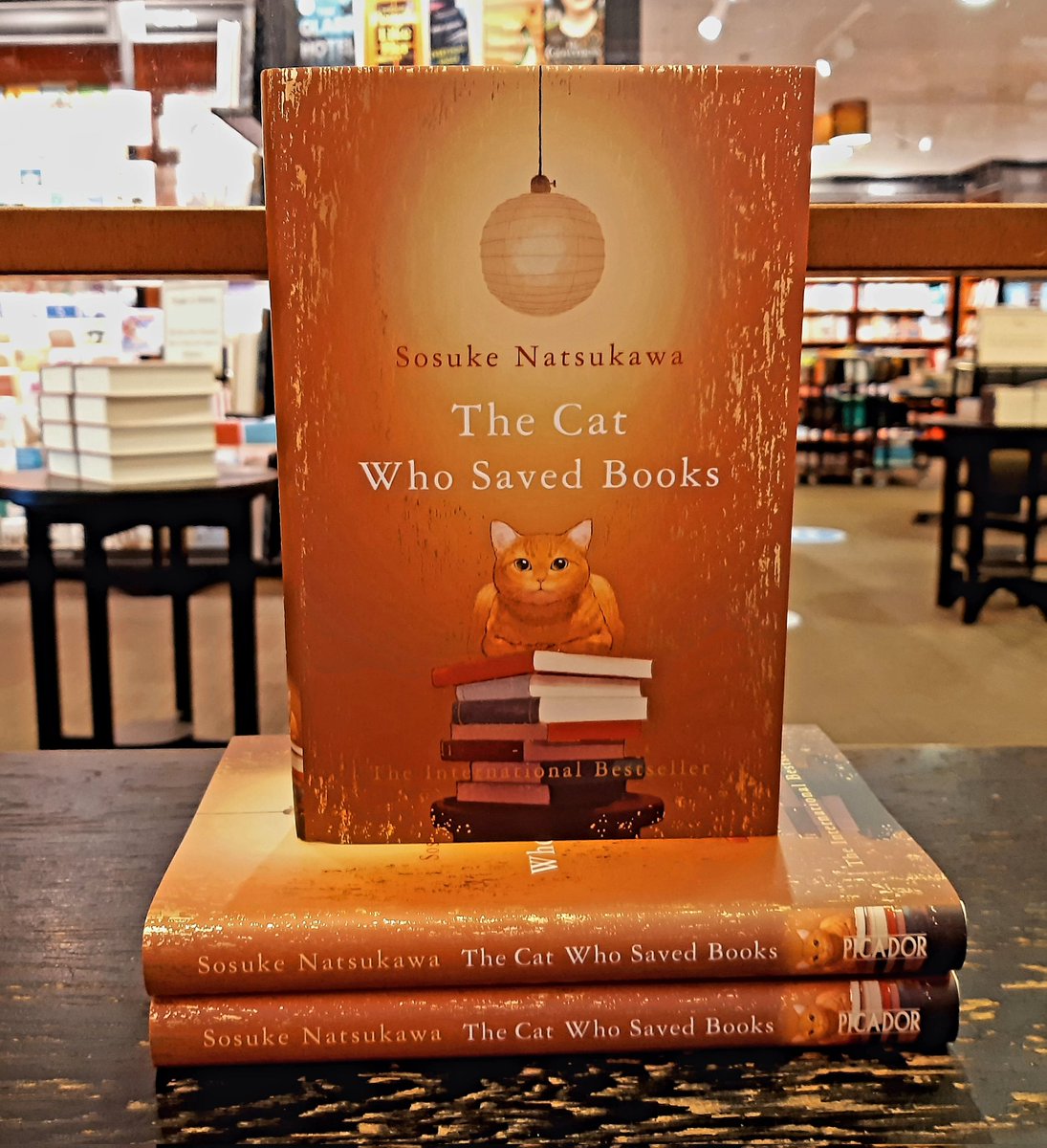 #TheCatWhoSavedBooks 🐈📚 is one of the most magical, heart-warming stories I've read in a long time. A story of loss, friendship, bravery and the importance of books.