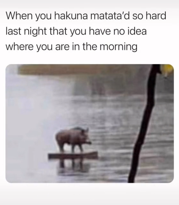 stfuludo's tweet photo. straight from my beloved memes folder, have them. https://t.co/VwNYDTDrKq