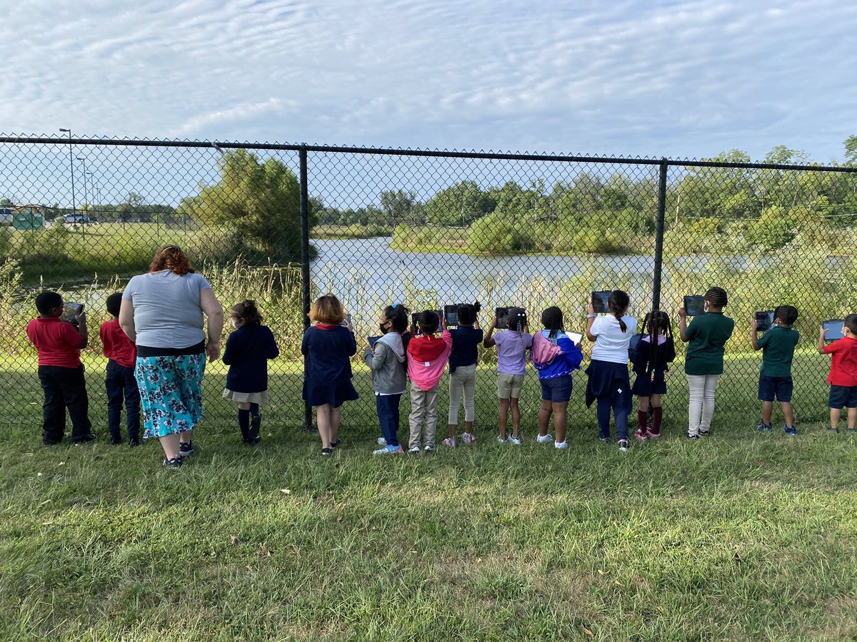 EES_MSDPIKE's tweet photo. Miss Tuley’s amazing 1st Graders went for a nature walk around the EES pond yesterday with their iPads. They took pictures and made observations about what they saw in their community. 🌎🍃🌳#PBL #PikeProud @PikeSchools https://t.co/fHMoY2FeyE