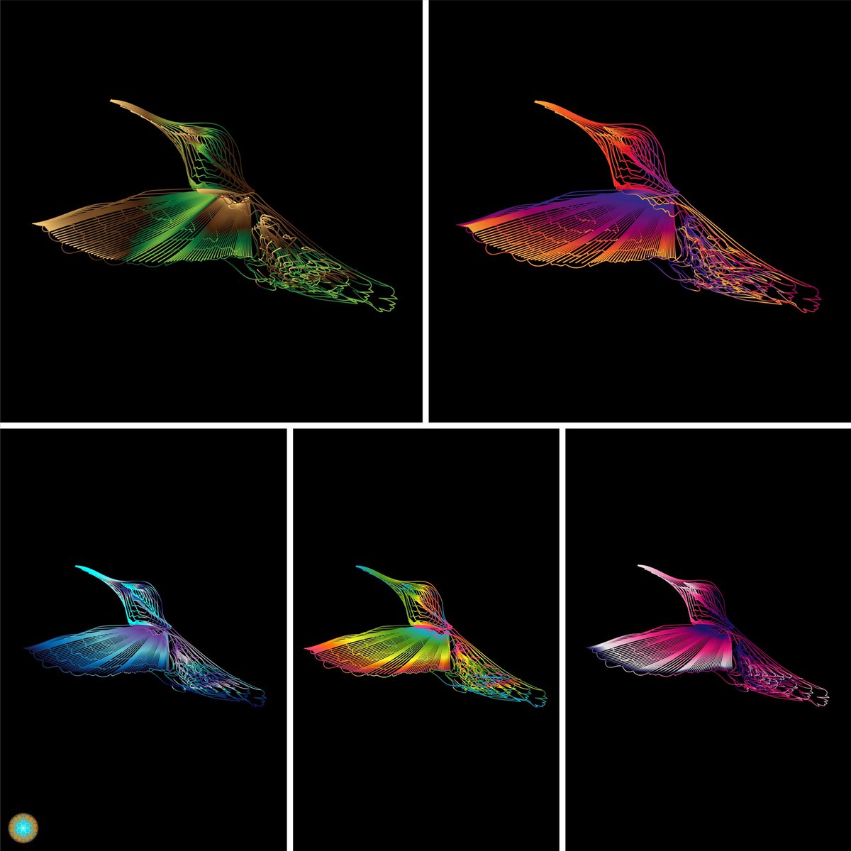 JK8512_'s tweet photo. Kolibri 22 - 26 have been released on #OpenSeaNFT #Polygon.  Find your wings!

#nft #nftcollector #NFTartist #art #cryptoart #ethereum #blockchain #cryptobirb https://t.co/jWIKnA7vaT