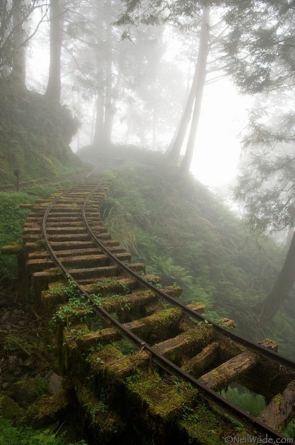 uvapocha's tweet photo. Foggy >>>>>>>> https://t.co/suyNQLfTdP