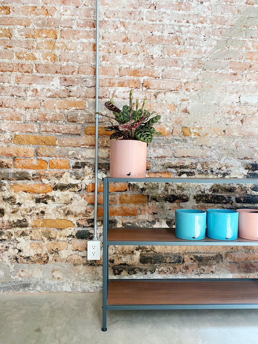 duckpots (@duck_pots) on Twitter photo 