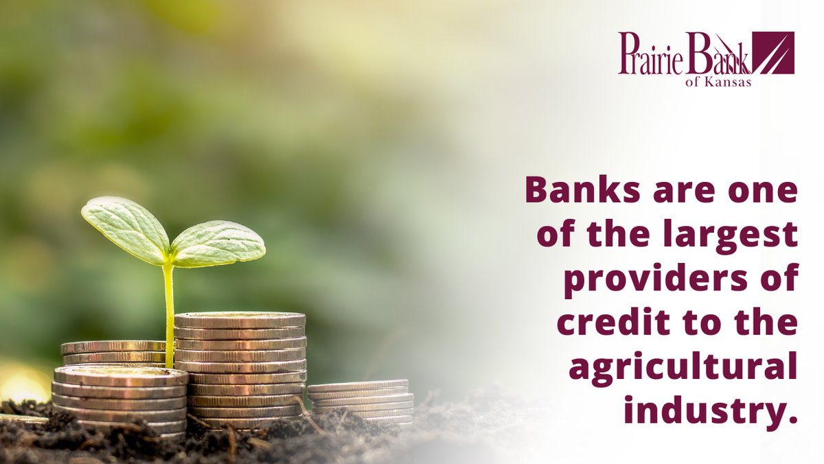 PrairieBankKS's tweet photo. 79% of our nations banks have agricultural loans on their portfolio -- Prairie Bank of Kansas is one of those banks.

#PrairieBankOfKansas #AgriculturalLoans #Agriculture https://t.co/LT2wJZHIrH