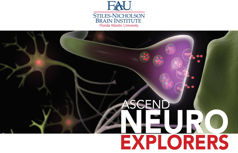 FAUJupiter's tweet image. #NeuroExplorers program is back!
⁠
Starting Sept. 8, students in grades 6-8 can join neuroscientists in an interactive, after-school program at STEM Studio in Jupiter – made possible by FAU's Stiles-Nicholson Brain Institute. ⁠
⁠
For more info: bit.ly/3gZbaDD  🧠