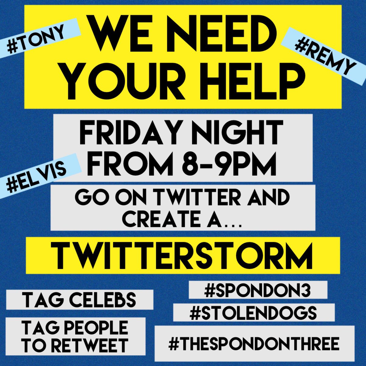 This Friday 8-9pm we want to create another #twitterstorm let’s keep our dogs in the spotlight and help us share the hashtags #thespondonthree #spondon3 #tony #remy #elvis #stolendogs @beautys_legacy @DogLostUK @rosieDoc2