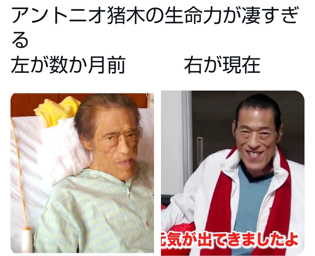 ピュアな方のなめちゃん على تويتر 言いたかったのはアントニオ猪木さんやん 笑 え 本当に生命力凄すぎる ピュアな方のなめちゃん على تويتر 言いたかったのはアントニオ猪木さんやん 笑 え 本当に生命力凄すぎる