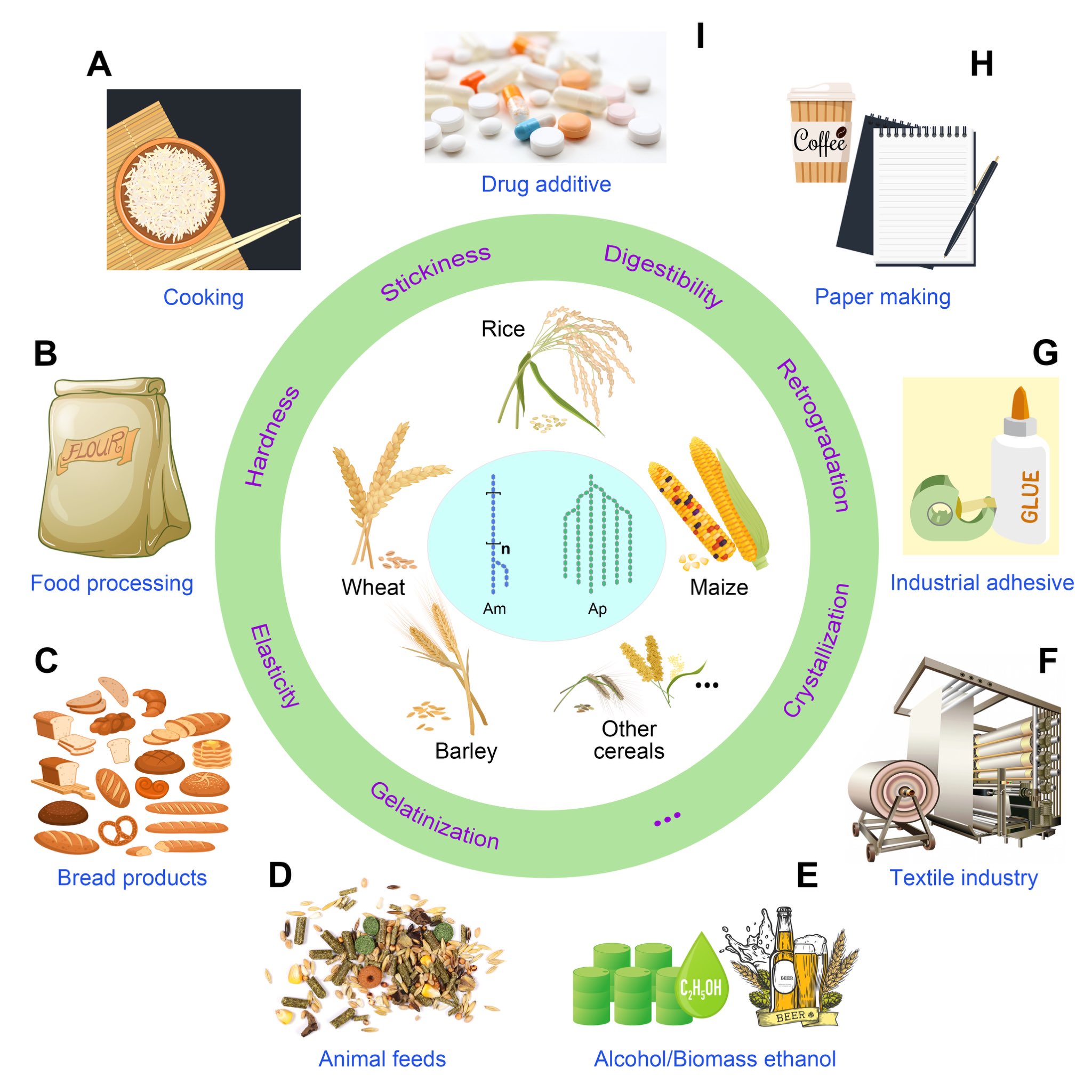 Molecular Plant & Plant Communications on Twitter: Molecular Plant & Plant Communications on Twitter: