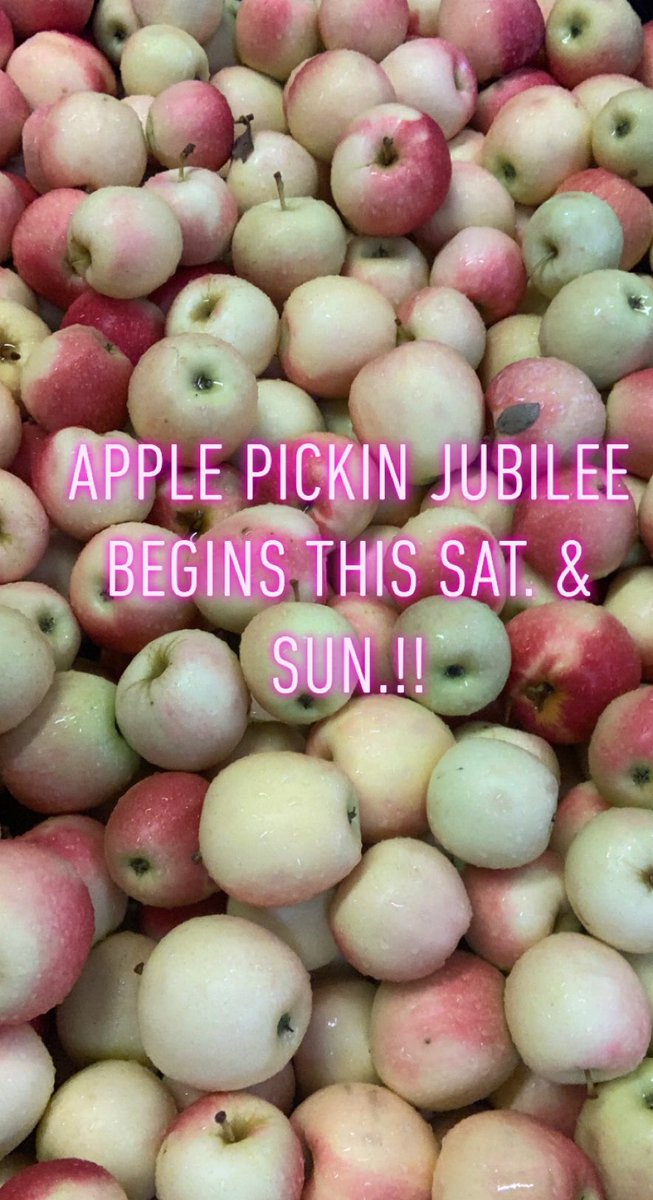 Hillcrest Orchards tweet media