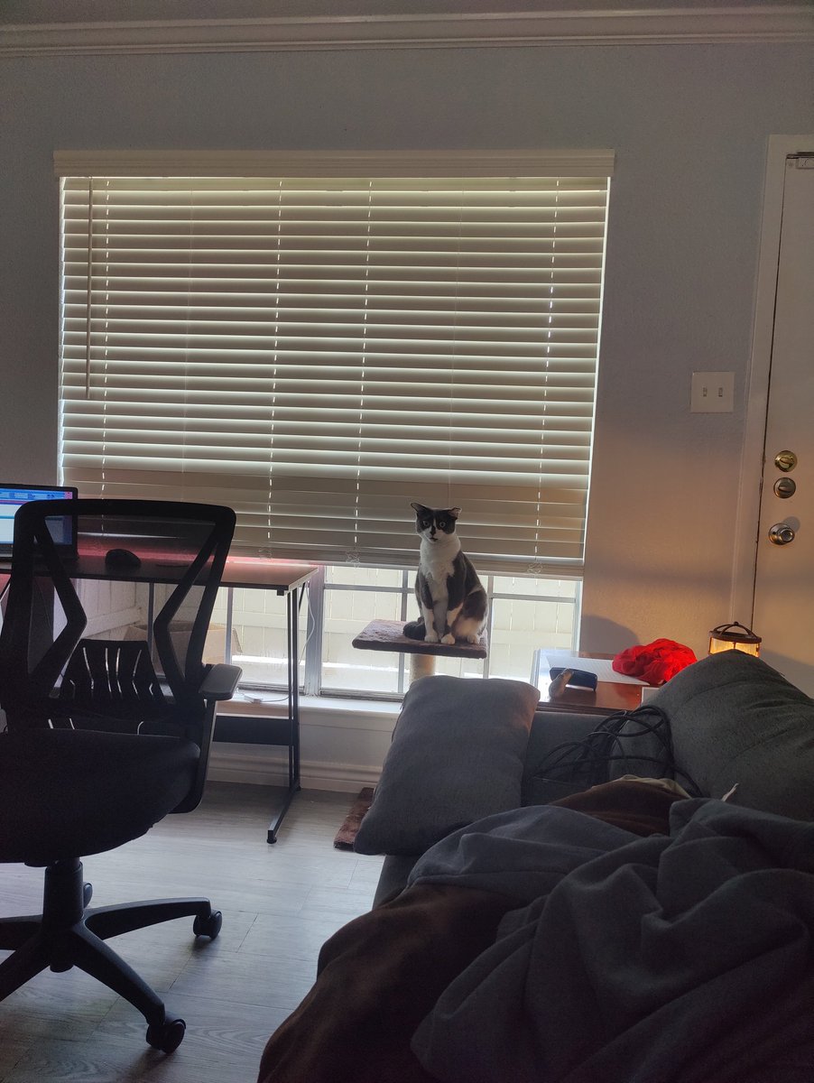 He is so mad at me. Lmao.