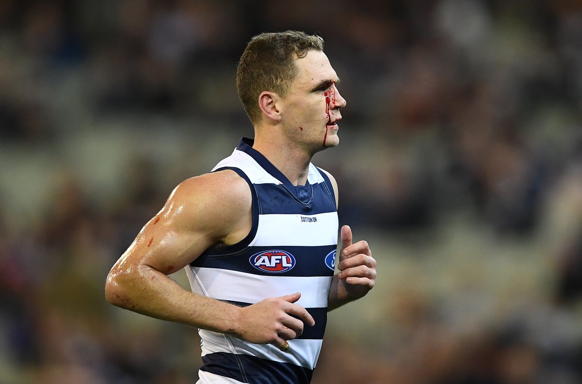7AFL's tweet image. Tonight, Joel Selwood becomes the all-times games leader for Geelong.

🐈 3x premierships
🐈 3x best &amp;amp; fairest
🐈 4x most courageous
🐈 6x All-Australian  
🐈 Rising Star 
🐈 Seventh-highest winning %  of any player in AFL history 

What a ride it's been.
