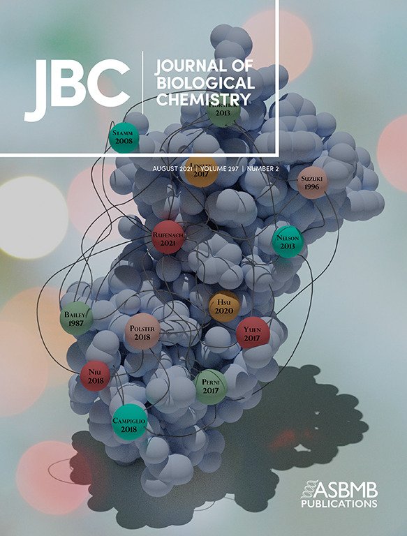 Currently 2/2 on journal cover submissions! 🥳🥳 So happy I discovered the magic of #Blender3d