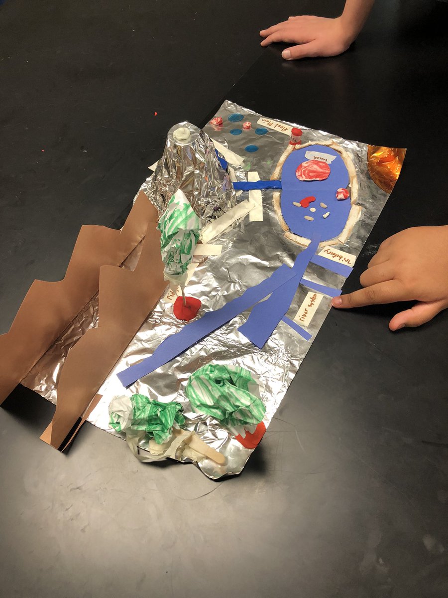 KMS Science 7 tweet media