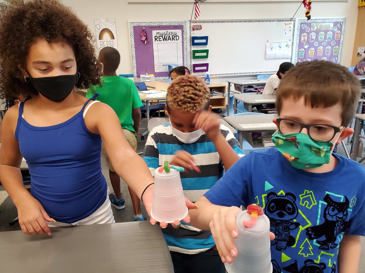 Mrs. Ashton tweet media