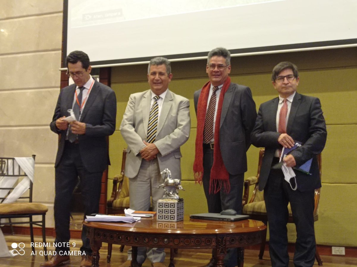 Panel 2: “Política, Legislación y Normativa Turística en Ecuador”.
De izquierda a derecha: Iván Vélez, Yorgi Ramírez, Ricardo Carrera, Carlos García. #Convenciontur2021