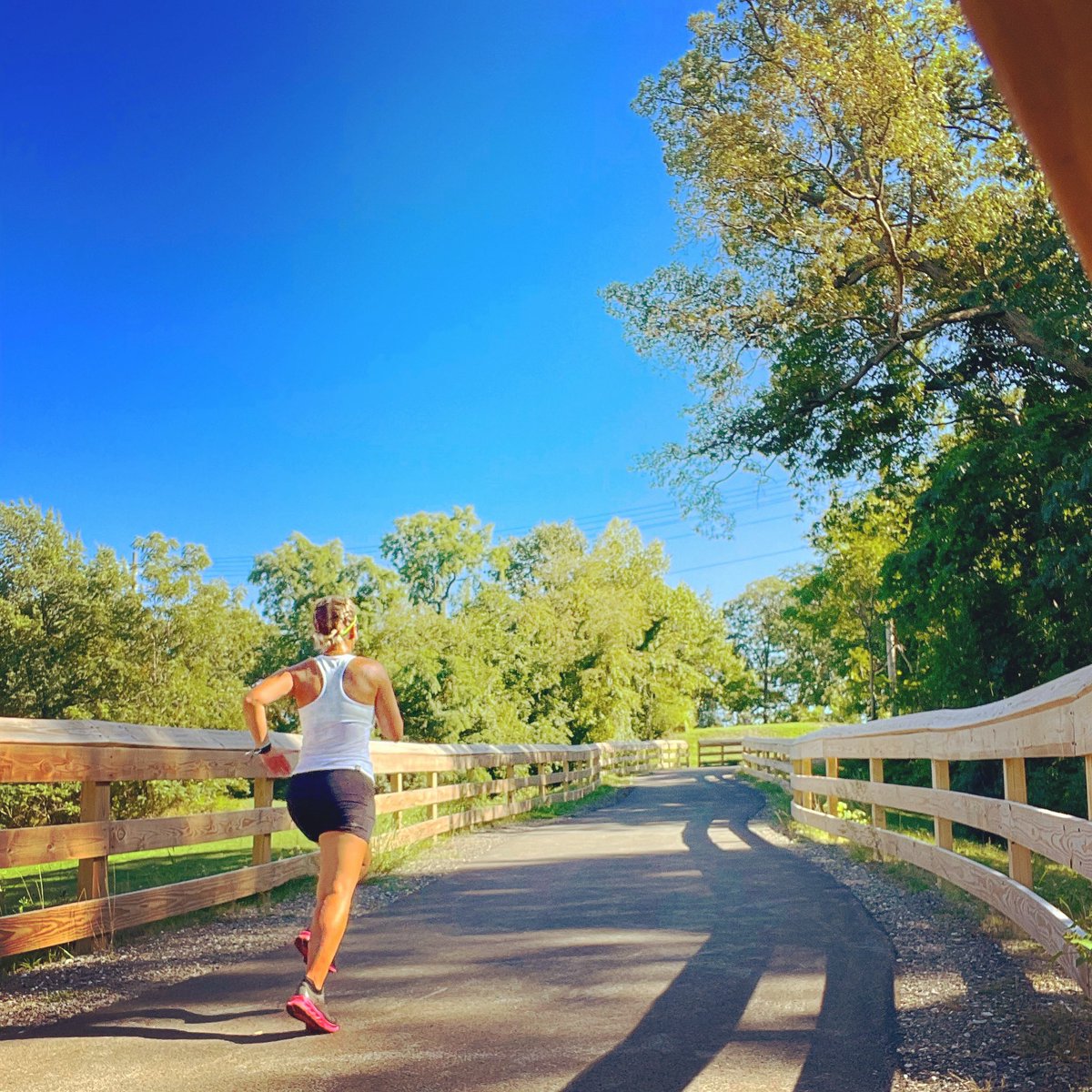 Rebeccaann3221's tweet image. All dem hills for those NYC bridges! 
#teamultra #runforultra @MichelobULTRA @WahooRunning