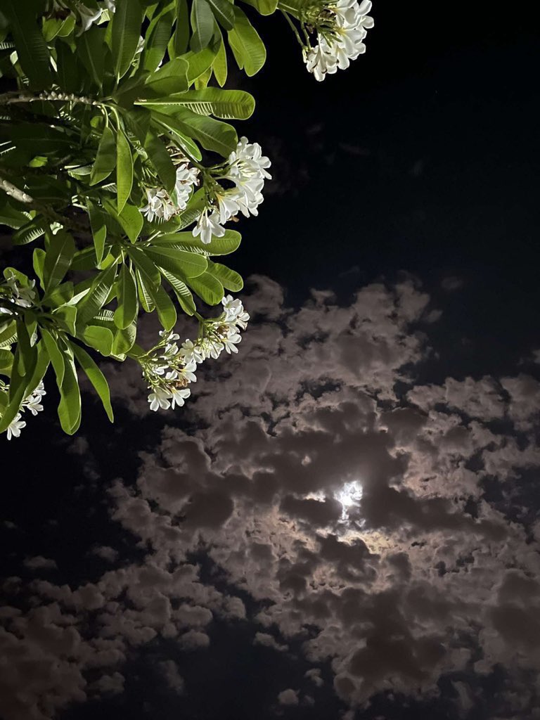 تَبلُغُ المَحَبَةُ بَينَ الشَّخصَينِ؛ حَتَّى يَتأَلَمَ أحَدُهمَا بِتأَلُمِ الآخَرِ ويَسقَمُ بِسقَمهِ وَهُو لاَ يَشعُر ..

رَوضة المحبين جــ١ صــ٧٣ لابن القيم رحمه اللّٰه.