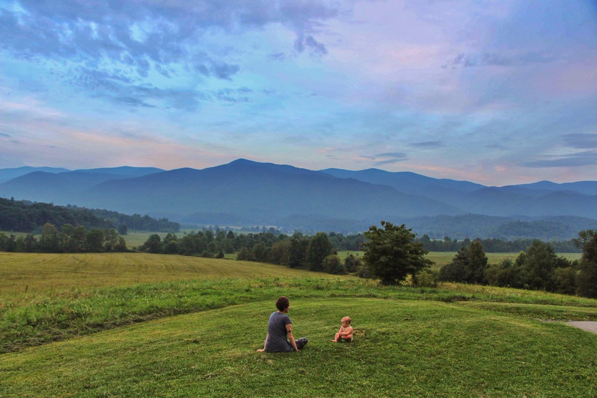 Ryan Sharkey tweet media