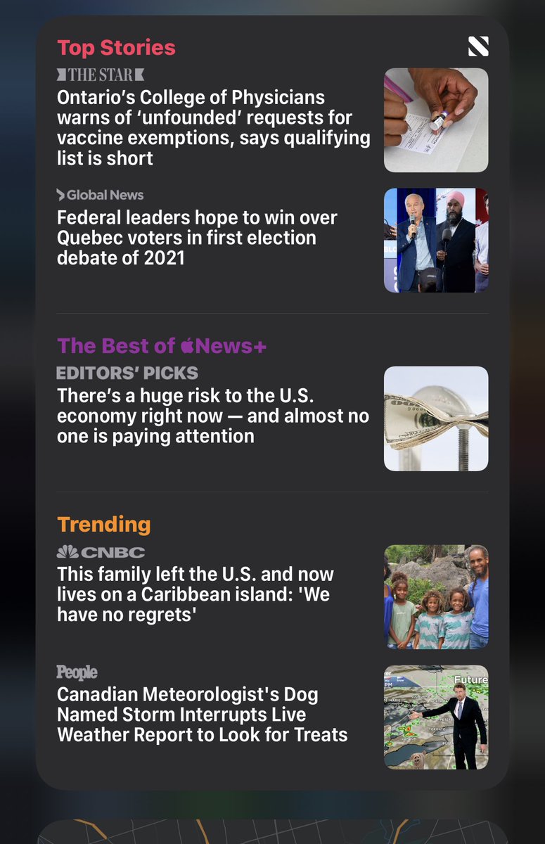 StormtheWeatherDog tweet media