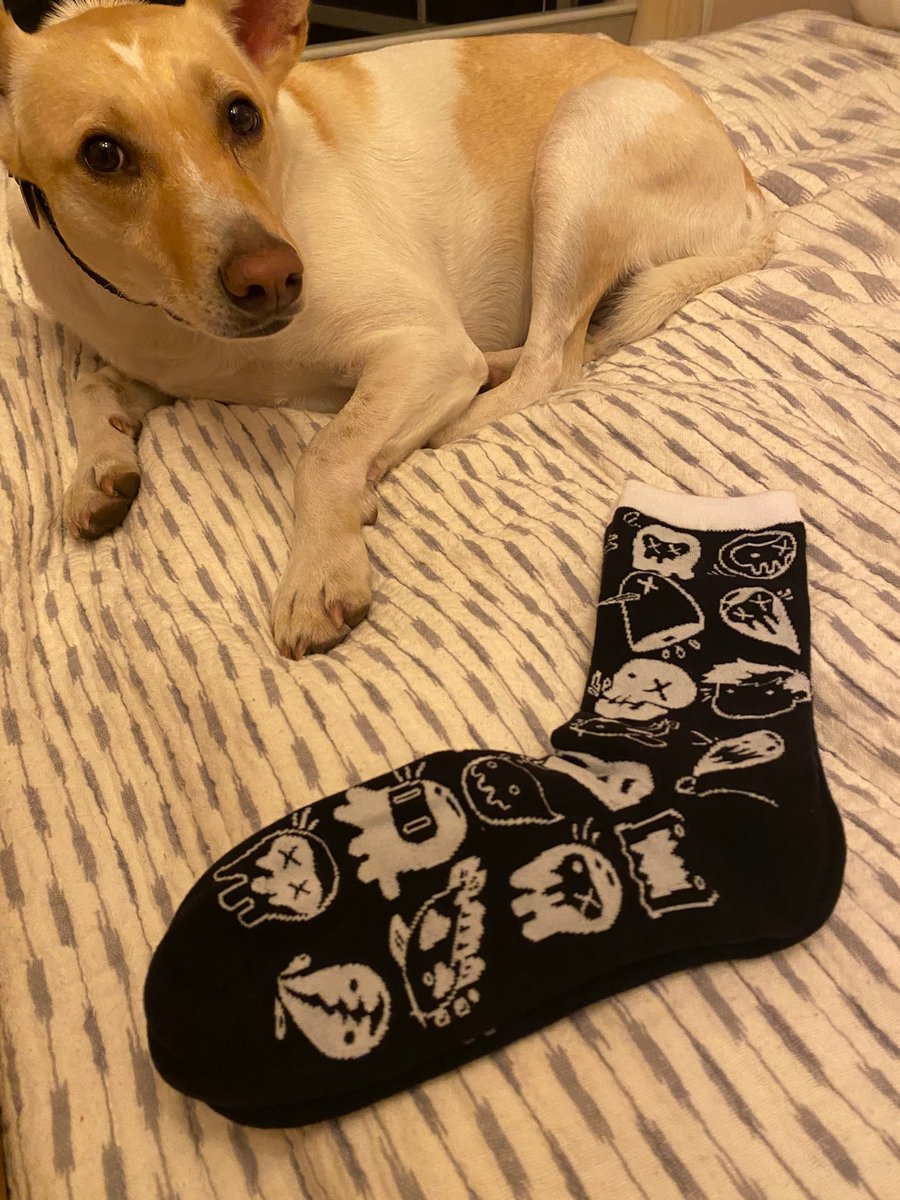DylanKahler22's tweet image. Thanks for the socks! @hankgreen @SaraSandovalArt #awesomesocksclub