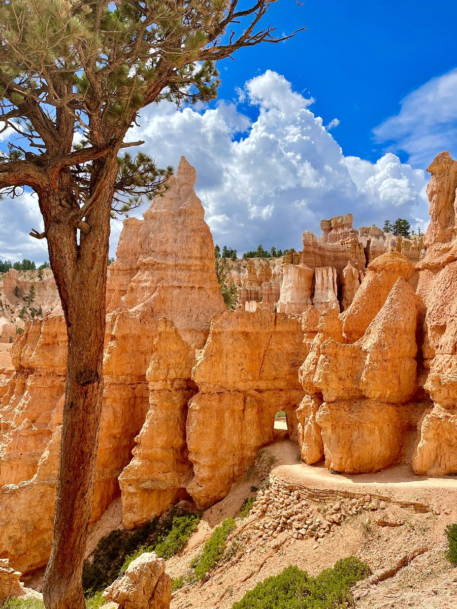 Ancient_trail's tweet photo. As a bootstrap start-up our growth is dependent on our customers, so we are focused on providing quality, functional products they can be proud of – Sustainable, Made in the U.S.A., Eco-Friendly, and Customer funded – that’s Fossil Outdoor! #startup #smallbusiness #shopsmall #you https://t.co/05Kgo40hfJ