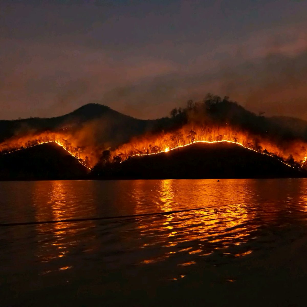Voor Het Weer Magazine ben ik bezig met een artikel over de extreme hittegolf eind juni in British Columbia, Canada. We besteden oa aandacht aan de hitterecords, de bosbranden, het weggevaagde Lytton en de massale sterfte van mosselen.#klimaatverandering #hittegolf #bosbranden