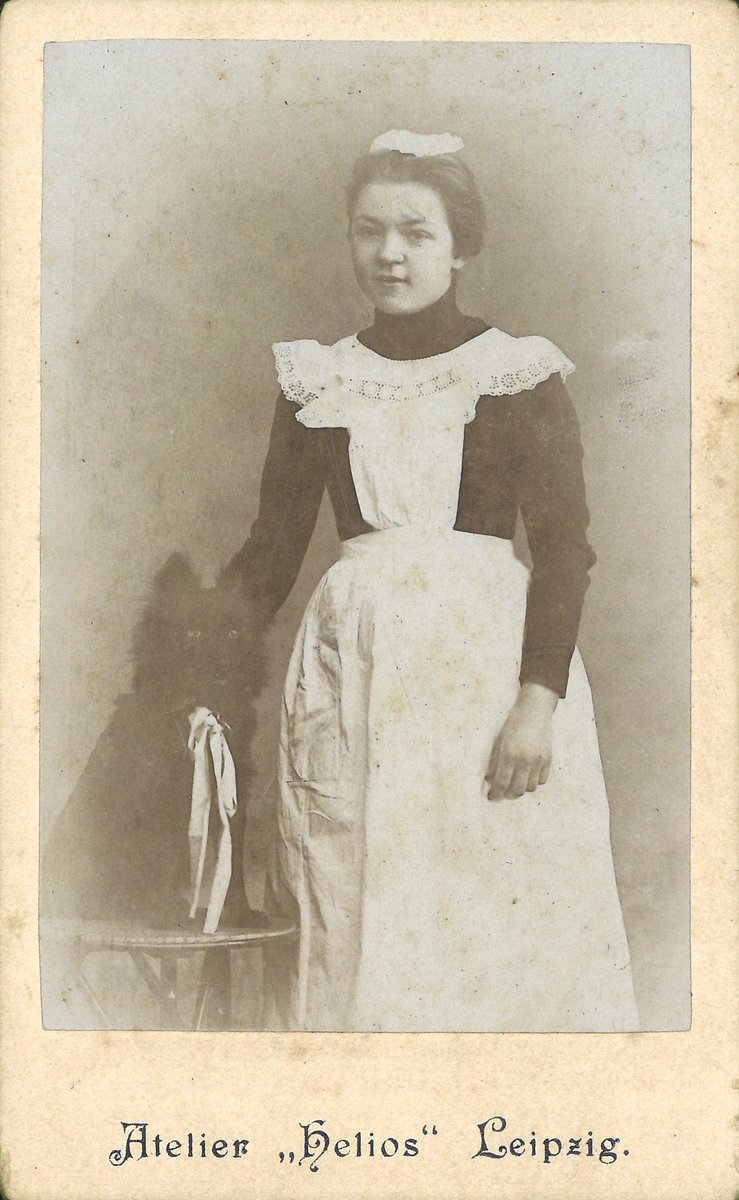 ラ王子 19世紀 ザクセン王国 ドイツ帝国期 におけるメイド ザクセン王国にはドレスデンやライプツィヒなど比較的豊かな都市が多く その為 女性使用人も多かったよう