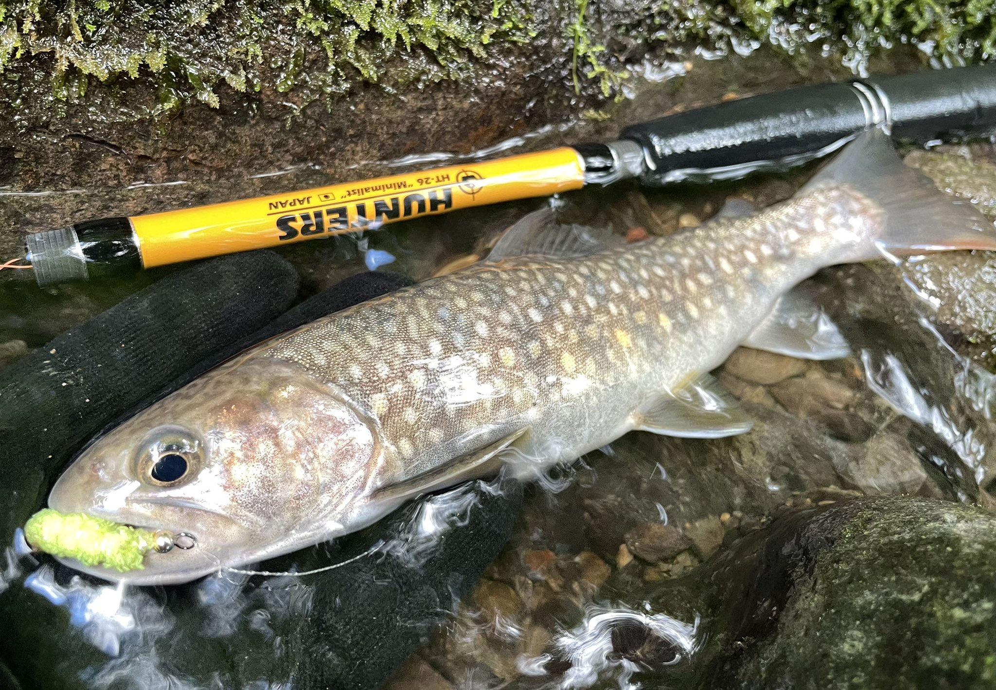 小塚拓矢 金曜日はフライデー 本日の朝練はfly 毛鉤 縛りで三大渓魚をコンプリート 進化型 渓流ビッグベイト お風呂マット Ht 26 による我流 テンカラ 近々動画で紹介できたらな サルナシまだ酸っぱいw T Co 7l4eay2luj Twitter